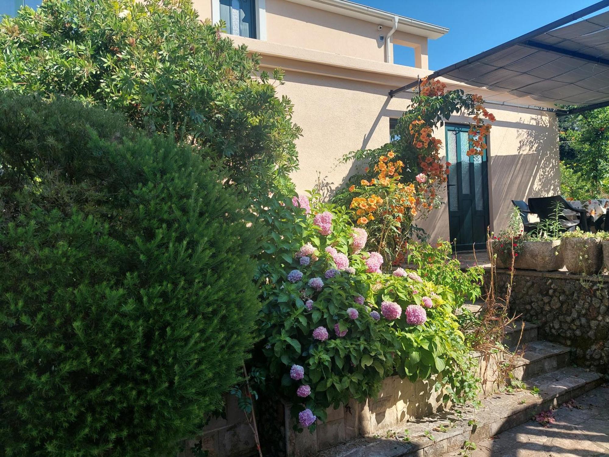 Kjara Apartments Tivat Eksteriør bilde