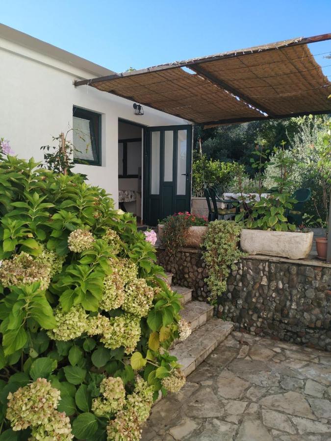 Kjara Apartments Tivat Eksteriør bilde
